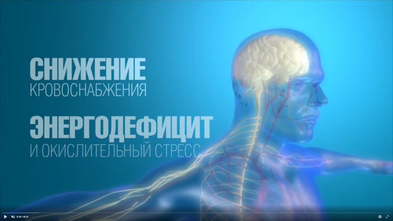 Мехидол® - антиоксидантты нейроцитопротекция стандарты